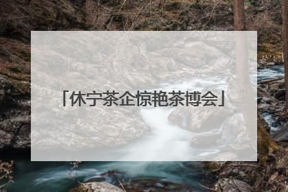 休宁茶企惊艳茶博会