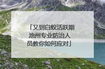 又到白蚁活跃期 池州专业防治人员教你如何应对