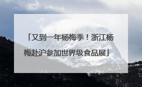 又到一年杨梅季！浙江杨梅赴沪参加世界级食品展