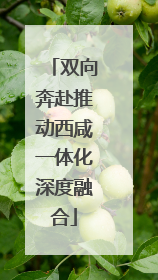 双向奔赴推动西咸一体化深度融合