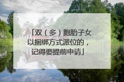 双（多）胞胎子女以捆绑方式派位的，记得要提前申请