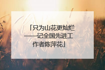 只为山花更灿烂——记全国先进工作者陈萍花