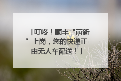 叮咚！顺丰“萌新”上岗，您的快递正由无人车配送！