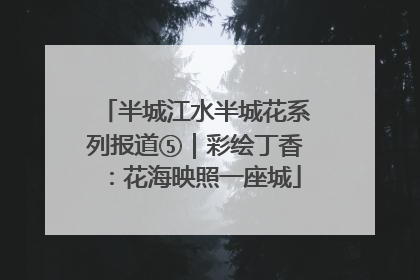 半城江水半城花系列报道⑤｜彩绘丁香：花海映照一座城