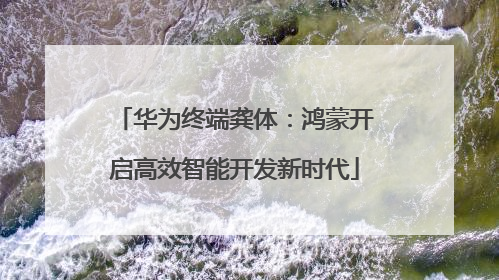 华为终端龚体：鸿蒙开启高效智能开发新时代
