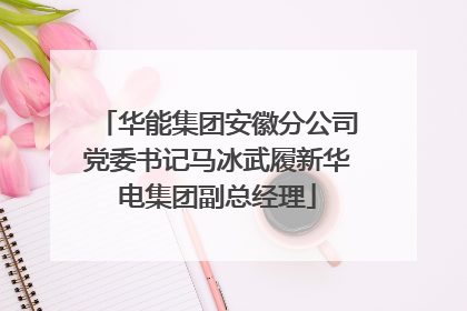 华能集团安徽分公司党委书记马冰武履新华电集团副总经理