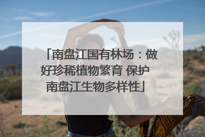 南盘江国有林场：做好珍稀植物繁育 保护南盘江生物多样性