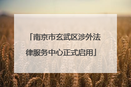 南京市玄武区涉外法律服务中心正式启用