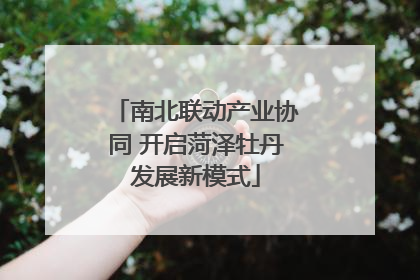 南北联动产业协同 开启菏泽牡丹发展新模式