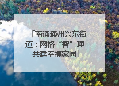 南通通州兴东街道：网格“智”理 共建幸福家园