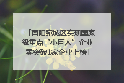 南阳宛城区实现国家级重点“小巨人”企业零突破1家企业上榜