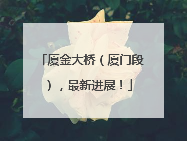 厦金大桥（厦门段），最新进展！