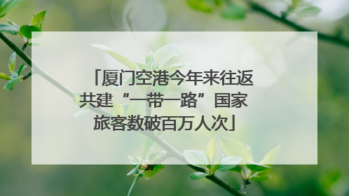 厦门空港今年来往返共建“一带一路”国家旅客数破百万人次
