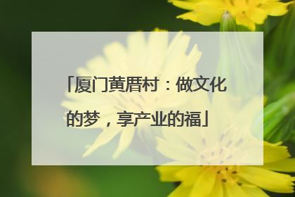 厦门黄厝村：做文化的梦，享产业的福