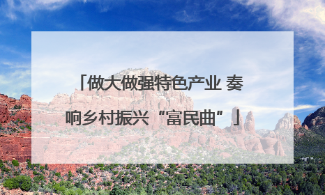 做大做强特色产业 奏响乡村振兴“富民曲”