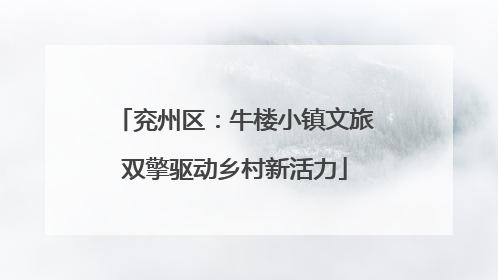 兖州区：牛楼小镇文旅双擎驱动乡村新活力
