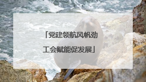党建领航风帆劲 工会赋能促发展