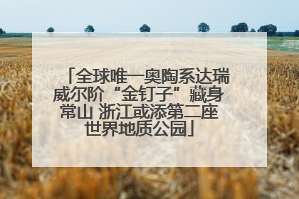 全球唯一奥陶系达瑞威尔阶“金钉子”藏身常山 浙江或添第二座世界地质公园