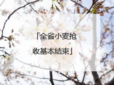 全省小麦抢收基本结束