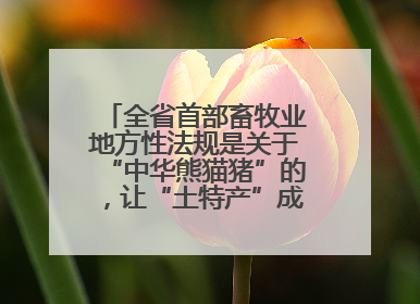 全省首部畜牧业地方性法规是关于“中华熊猫猪”的，让“土特产”成为“新国潮”，让“农产品”升格为“城市IP”