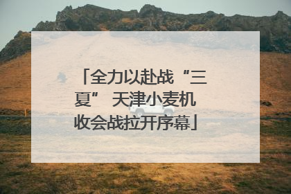 全力以赴战“三夏” 天津小麦机收会战拉开序幕