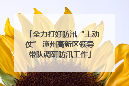 全力打好防汛“主动仗” 漳州高新区领导带队调研防汛工作