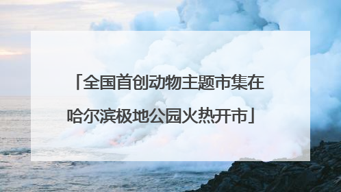 全国首创动物主题市集在哈尔滨极地公园火热开市