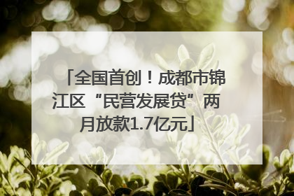 全国首创！成都市锦江区“民营发展贷”两月放款1.7亿元