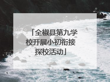 全椒县第九学校开展小初衔接探校活动