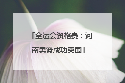 全运会资格赛：河南男篮成功突围
