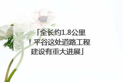 全长约1.8公里！平谷这处道路工程建设有重大进展