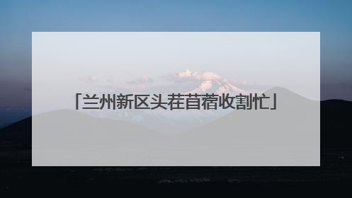 兰州新区头茬苜蓿收割忙