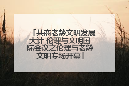 共商老龄文明发展大计 伦理与文明国际会议之伦理与老龄文明专场开幕