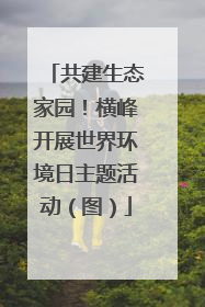 共建生态家园！横峰开展世界环境日主题活动（图）