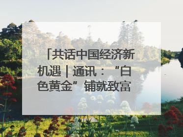 共话中国经济新机遇｜通讯：“白色黄金”铺就致富路——中国技术助力科特迪瓦橡胶产业增产增效