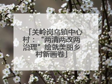 关岭岗乌镇中心村：“两清两改两治理”绘就美丽乡村新画卷