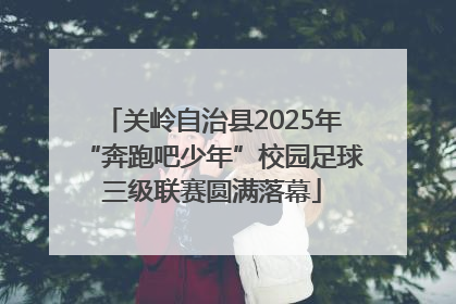 关岭自治县2025年“奔跑吧少年”校园足球三级联赛圆满落幕