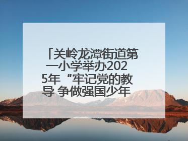 关岭龙潭街道第一小学举办2025年“牢记党的教导 争做强国少年”“六一”文艺汇演活动