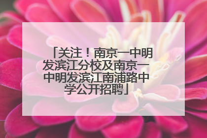 关注！南京一中明发滨江分校及南京一中明发滨江南浦路中学公开招聘