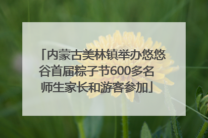 内蒙古美林镇举办悠悠谷首届粽子节600多名师生家长和游客参加