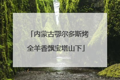 内蒙古鄂尔多斯烤全羊香飘宝塔山下