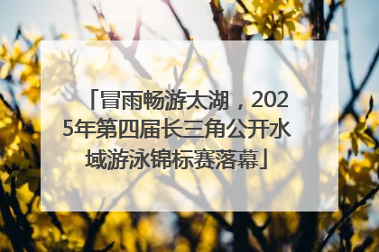 冒雨畅游太湖，2025年第四届长三角公开水域游泳锦标赛落幕