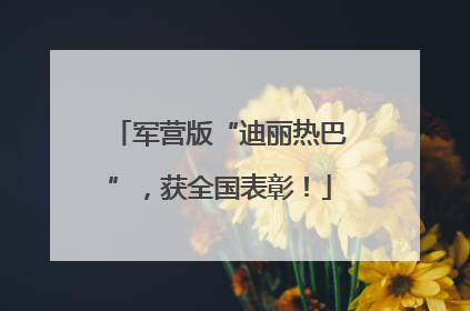 军营版“迪丽热巴”，获全国表彰！
