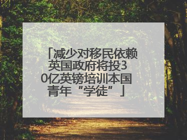 减少对移民依赖 英国政府将投30亿英镑培训本国青年“学徒”