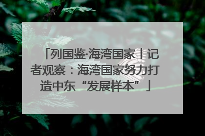 列国鉴·海湾国家丨记者观察：海湾国家努力打造中东“发展样本”
