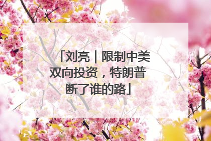 刘亮｜限制中美双向投资，特朗普断了谁的路