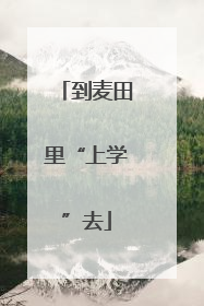 到麦田里“上学”去