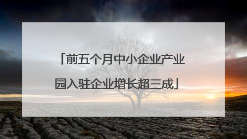 前五个月中小企业产业园入驻企业增长超三成