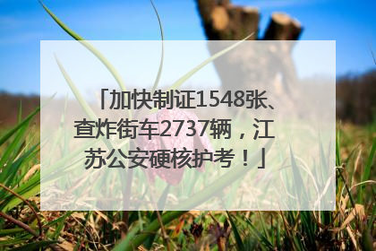 加快制证1548张、查炸街车2737辆，江苏公安硬核护考！