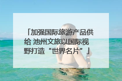 加强国际旅游产品供给 池州文旅以国际视野打造“世界名片”